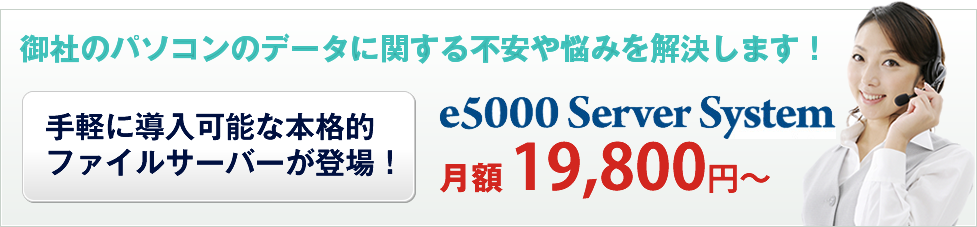 ファイルサーバー月額19,800円から